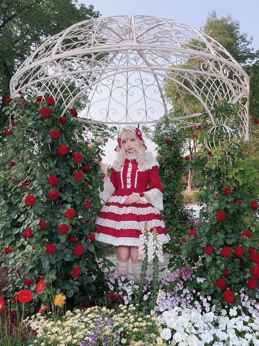 luella_lolita's tweet photo. エリザベス。 https://t.co/OI8UqQzjja