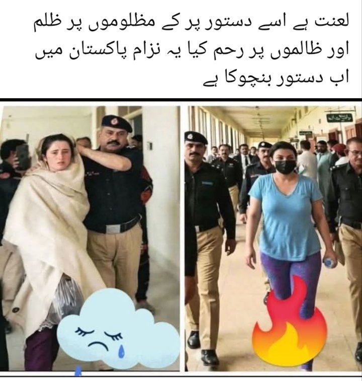 sofT_WeaRe's tweet photo. پاکستان میں جنگل کا قانوں ہے https://t.co/MPNqxl4K9g