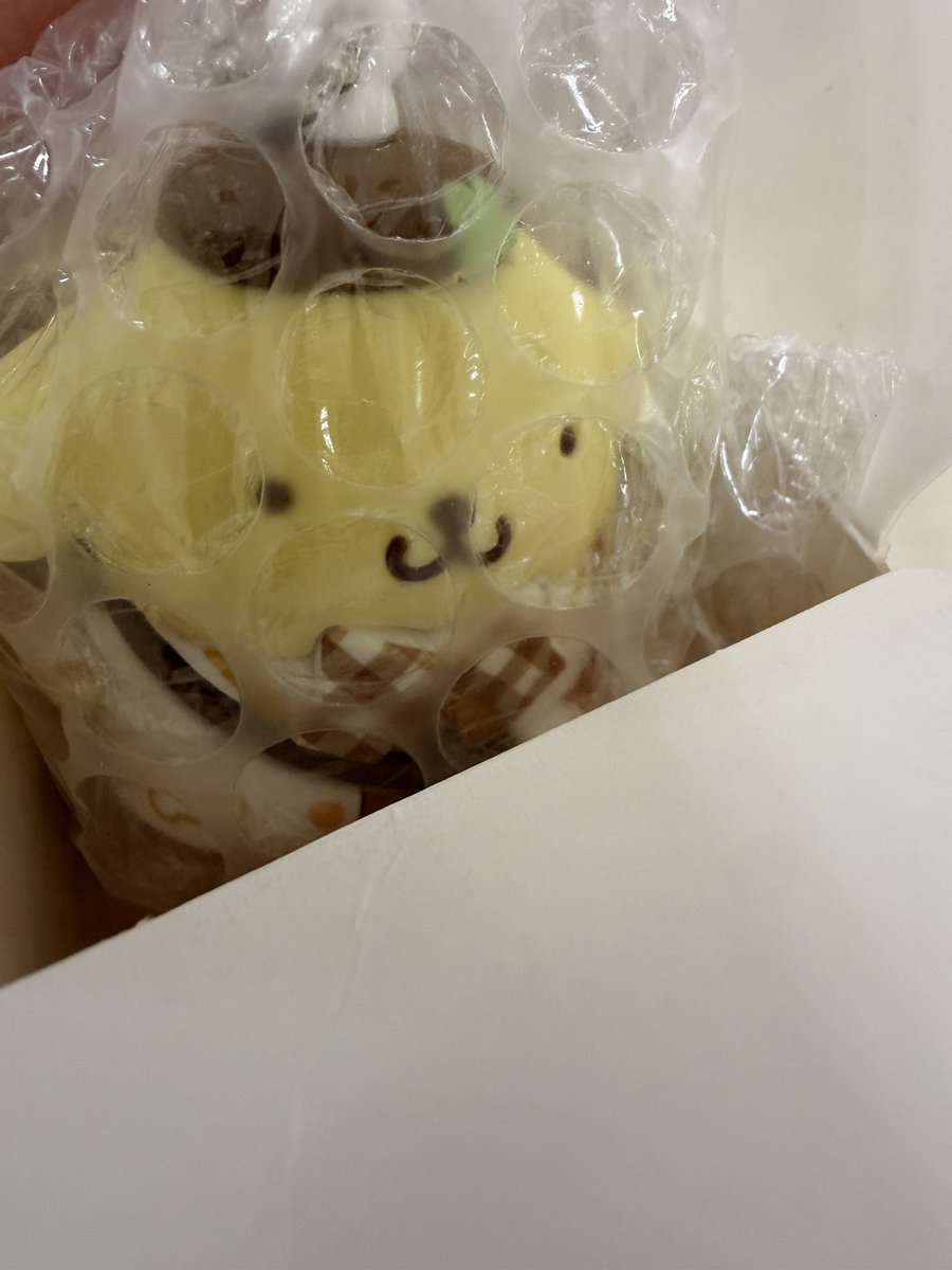 ぼんぼん。 tweet media