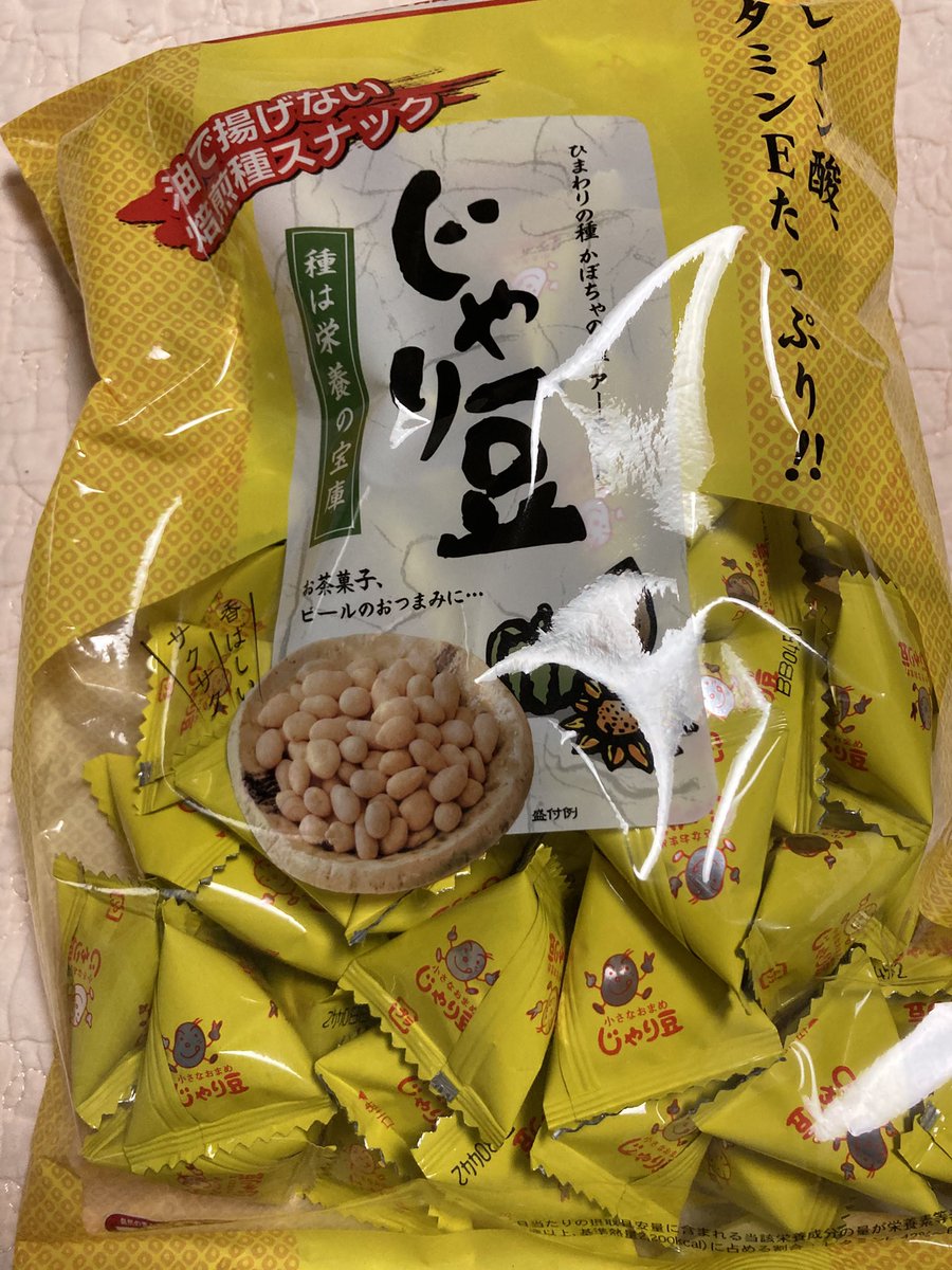 ねこのらんまる tweet media
