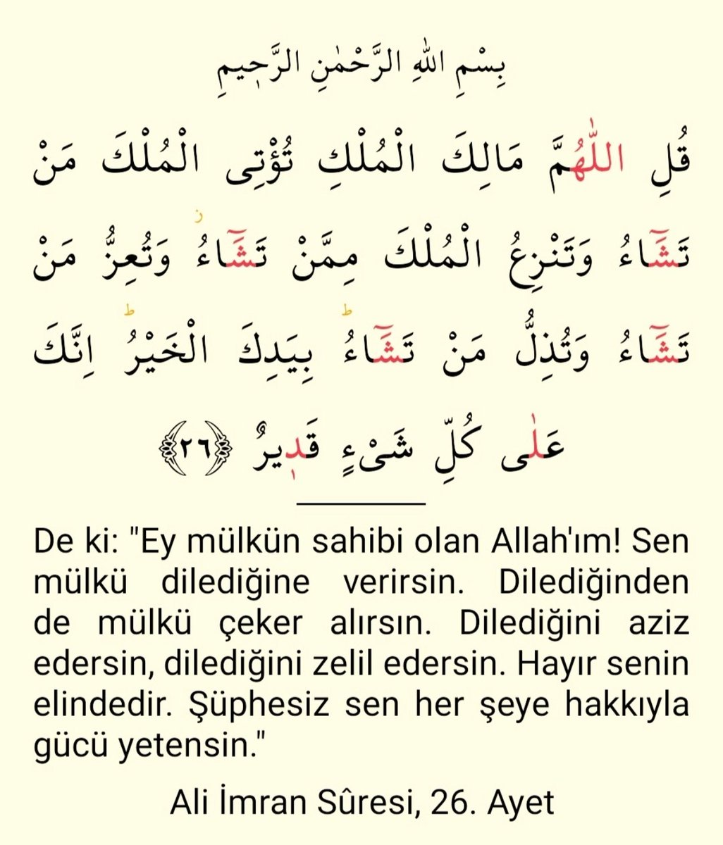 Muhammed Emin tweet media