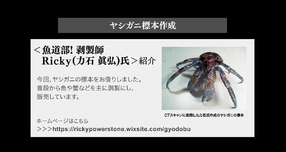 バンダイ様から発売される ＼いきもの大図鑑プレミアム ヤシガニ／ 私