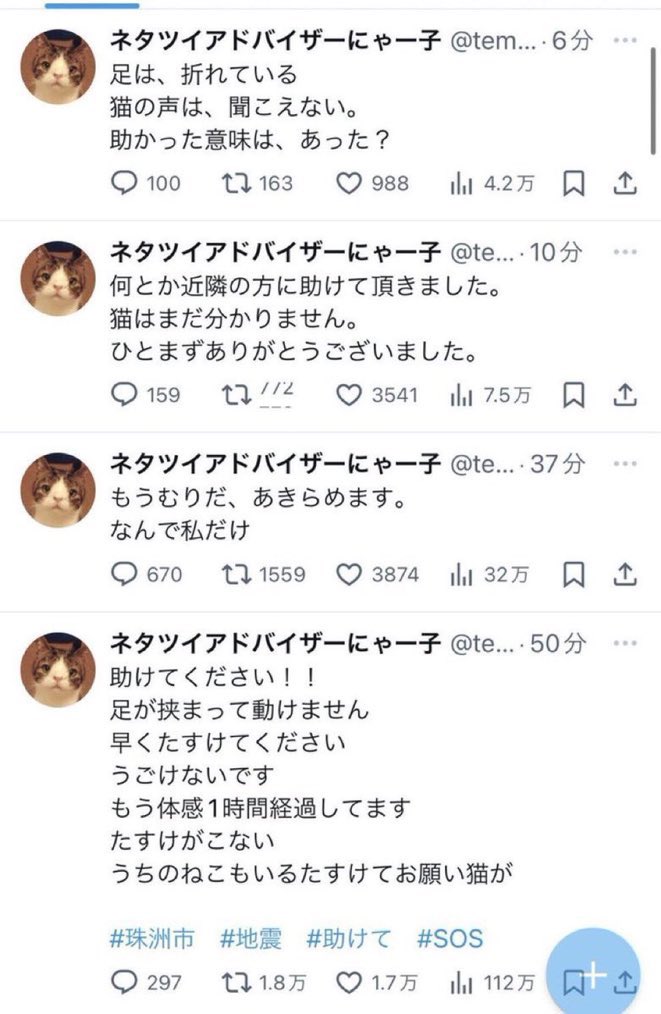 ネットの猫 tweet media