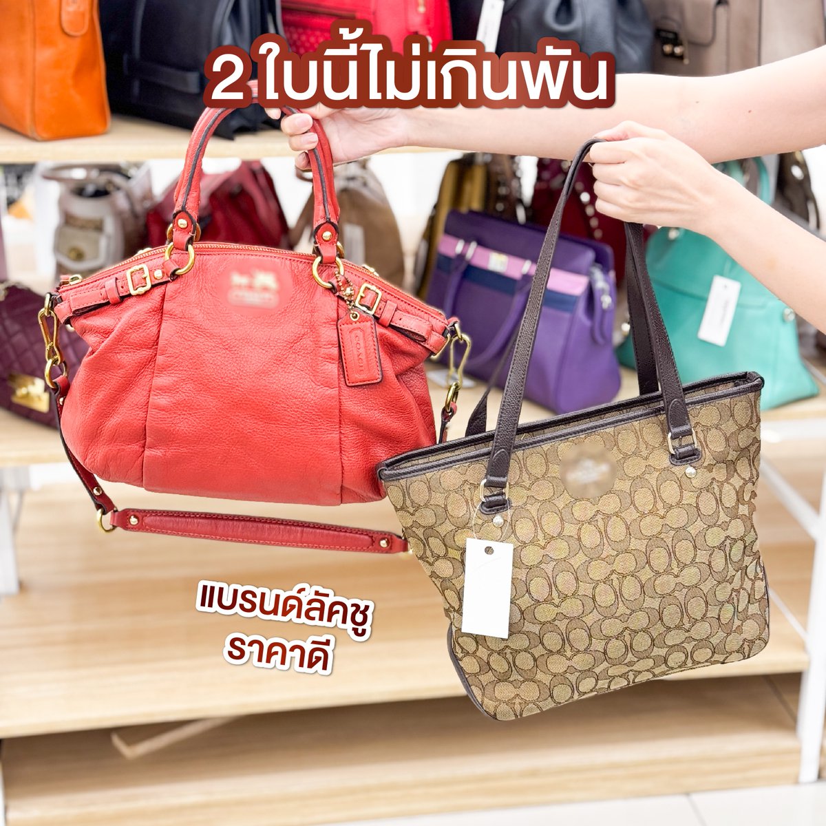 ชอบโปร tweet media