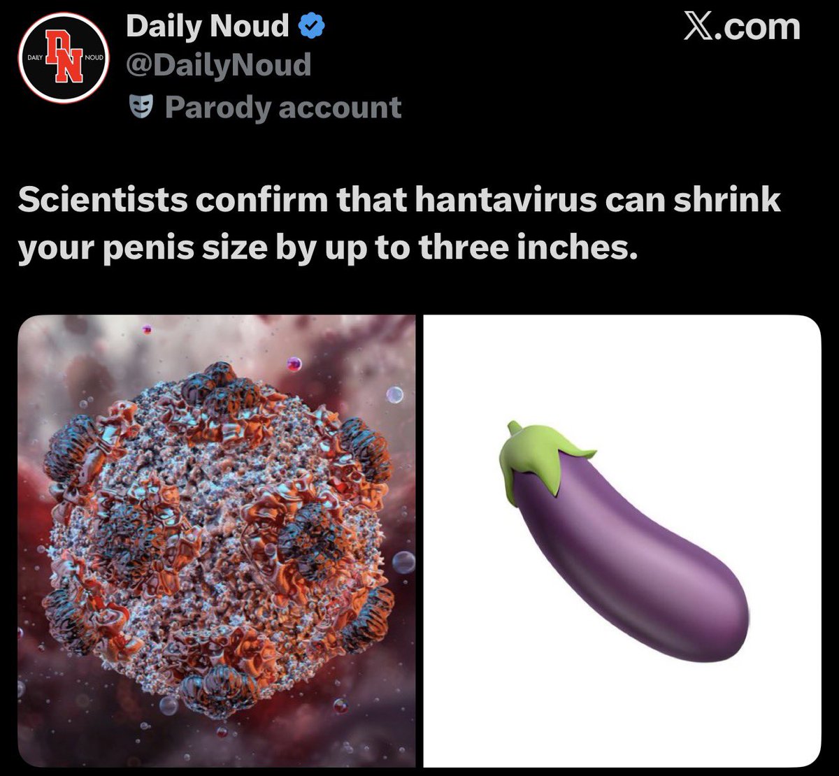𝐑𝐞𝐲𝐳𝐚 tweet media