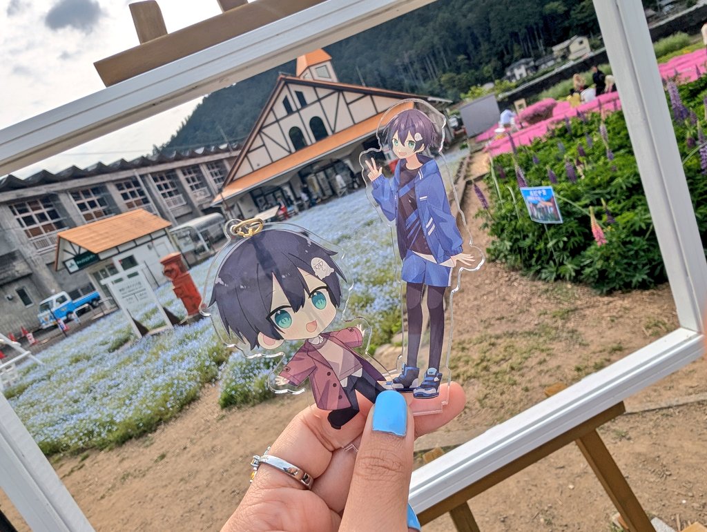 aohosiumeaka's tweet photo. 今年も綺麗なネモフィラと遭遇したので投下✨ https://t.co/yoXjEbualT