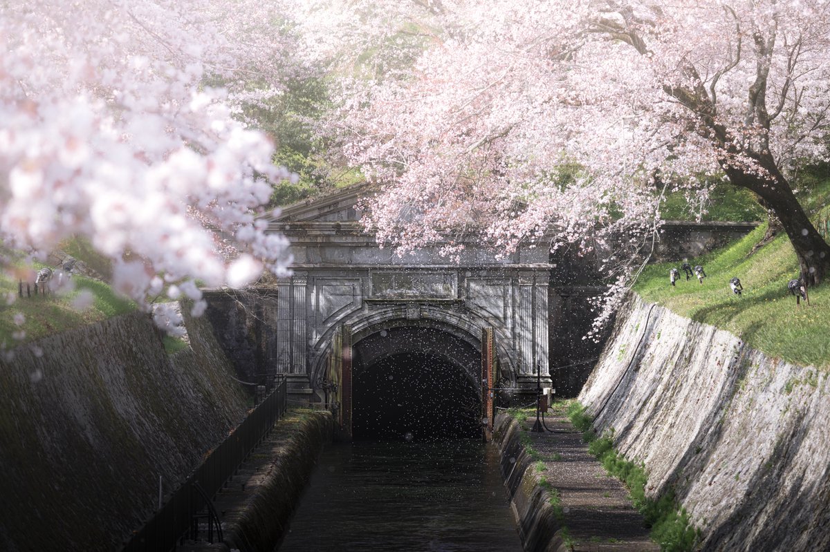 maybeeeeem's tweet photo. 日本の四季は、うつくしい https://t.co/o99hzhiBBc