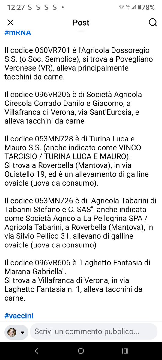 Francesca tweet media