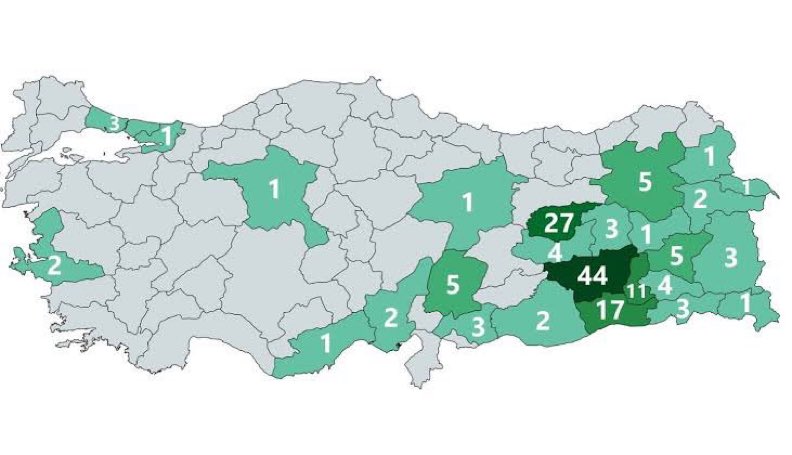 Gökçe Katun tweet media