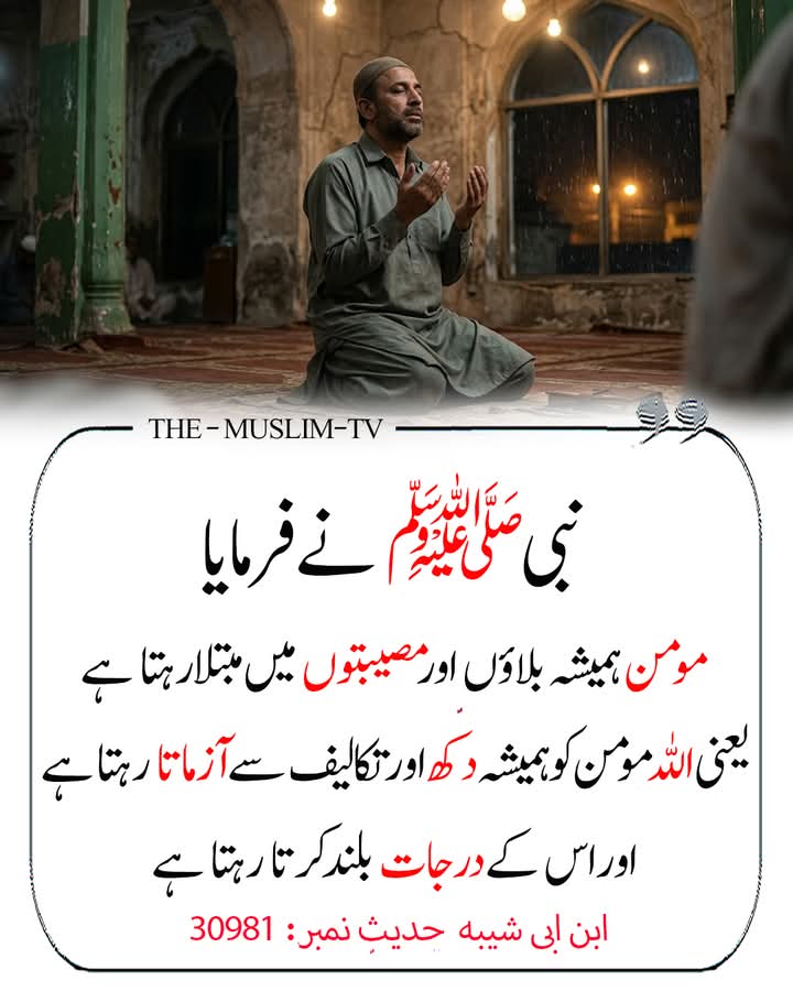 Mahwish Zafar tweet media