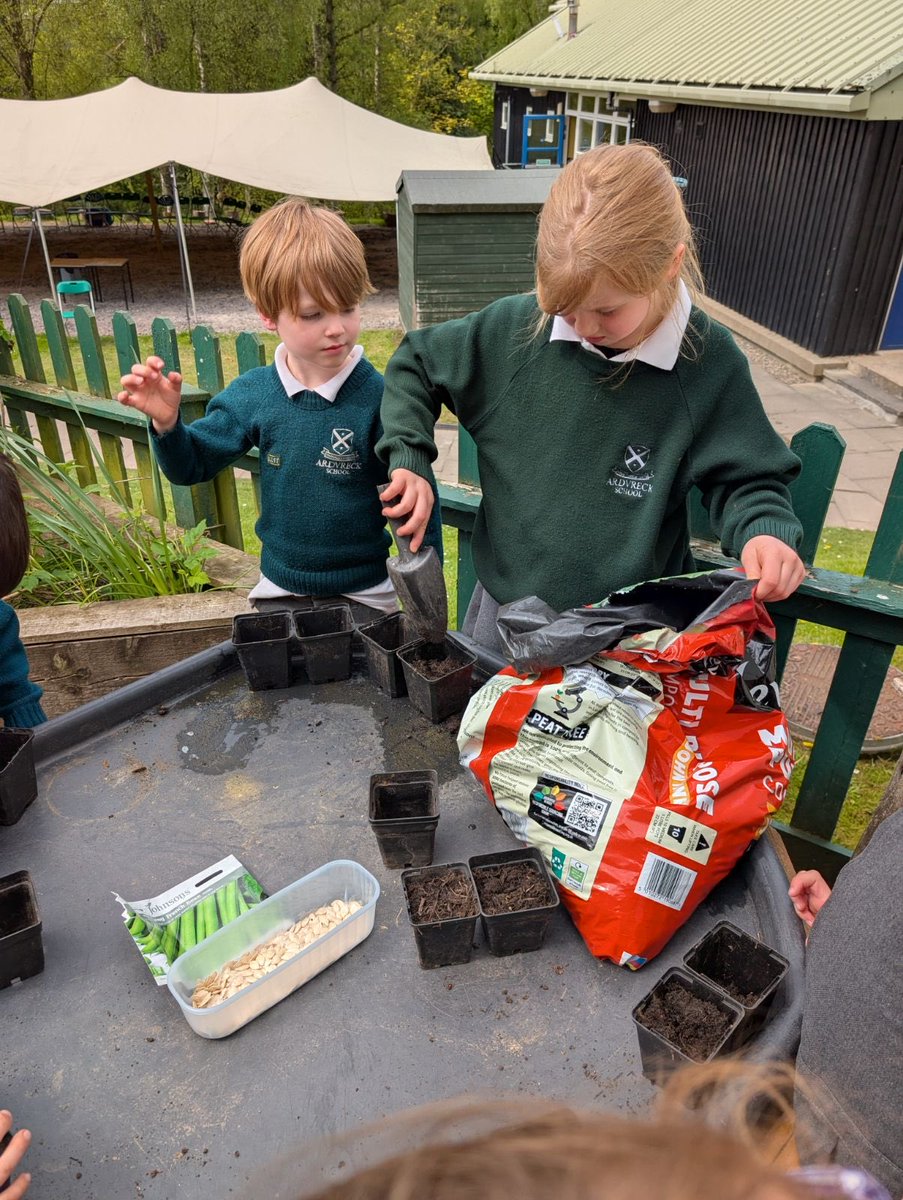 Ardvreck School tweet media