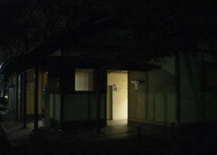 迷子のここあ tweet media