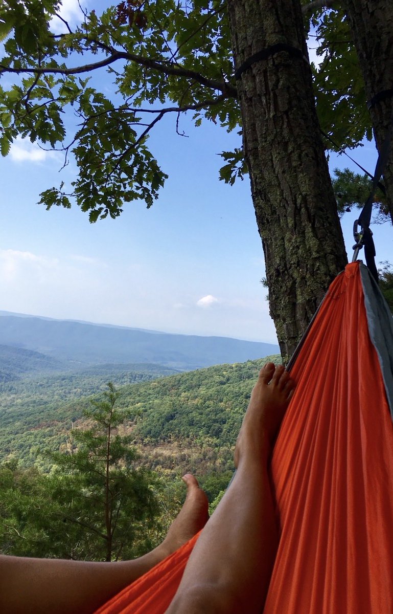 TipDuval's tweet photo. @DailyPicTheme2 #DailyPictureTheme  #Leisure 

#leisurely rest after she reached the summit… https://t.co/yDX4GtFTvM