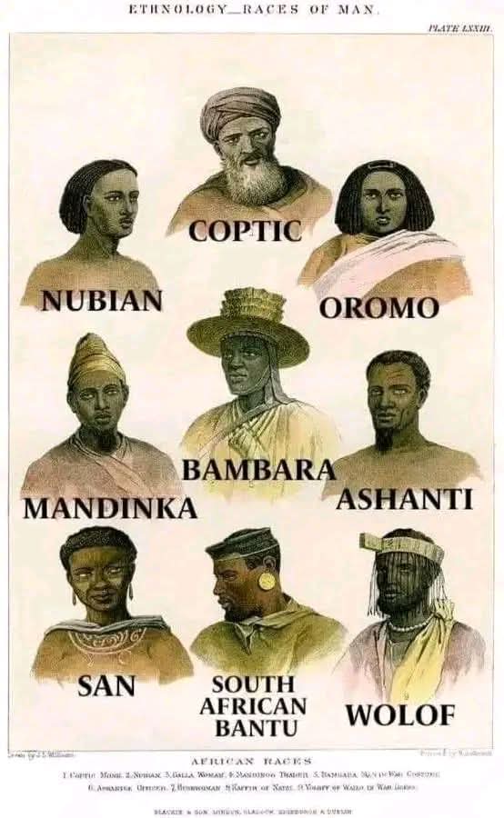 Afican Races African races?
