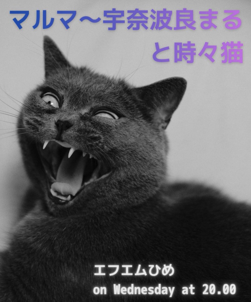 unaharamaru's tweet photo. Songs on tonight’s repeat programme – #マルマ〜宇奈波良まると時々猫🐈‍⬛, from 20.00

#SHOTtheRADIOwithAgun-Stay Free
#MADAMEEDWARDA-Opéra
#LiQuidButterFly-吸血鬼の恋人
#我常世人-黄泉國
#三上博史-黎明
#LizardsTail-愛の名の下で

Nyanks🐾

https://t.co/caaVWHW3N7 https://t.co/noGSZOChtd