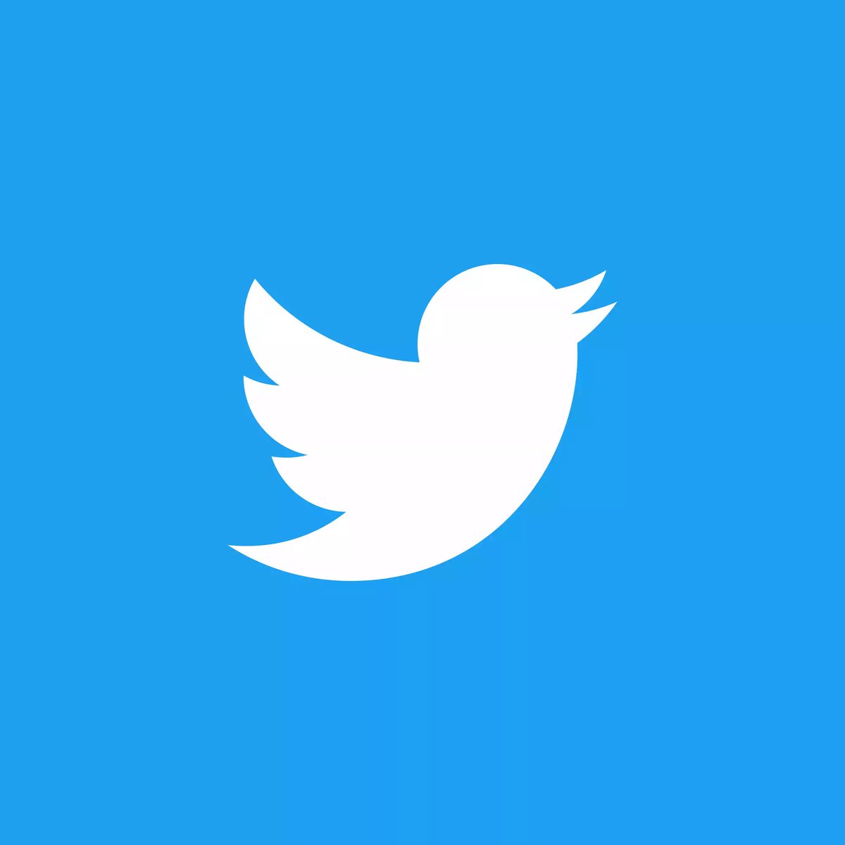 紫苑 tweet media