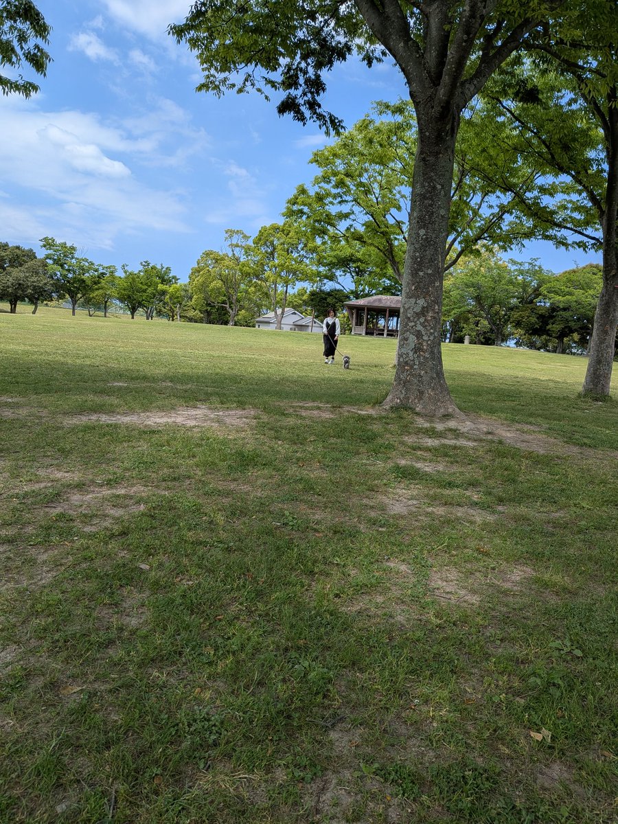 tickiminko's tweet photo. オデたち。 https://t.co/cQow7fK0gc