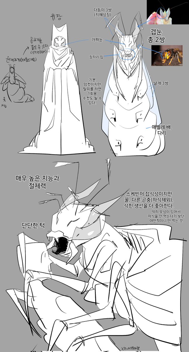 사과는 애쁠 tweet media