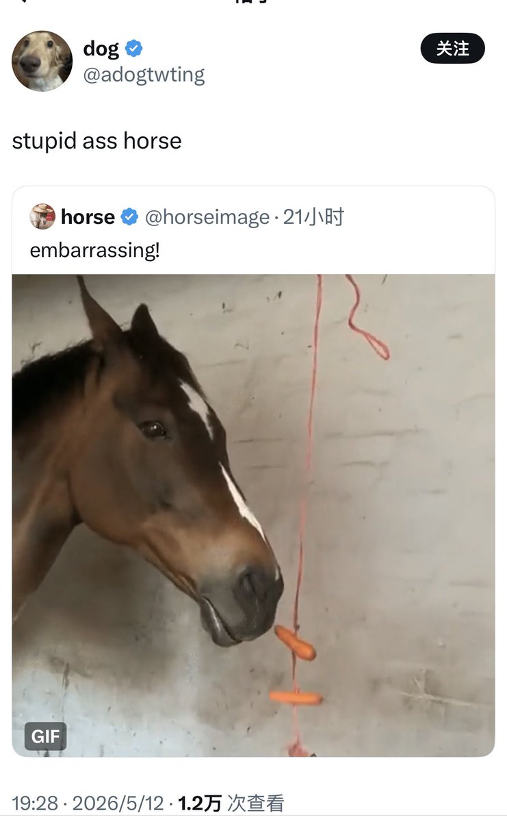 若由你来谈论爱的话 tweet media