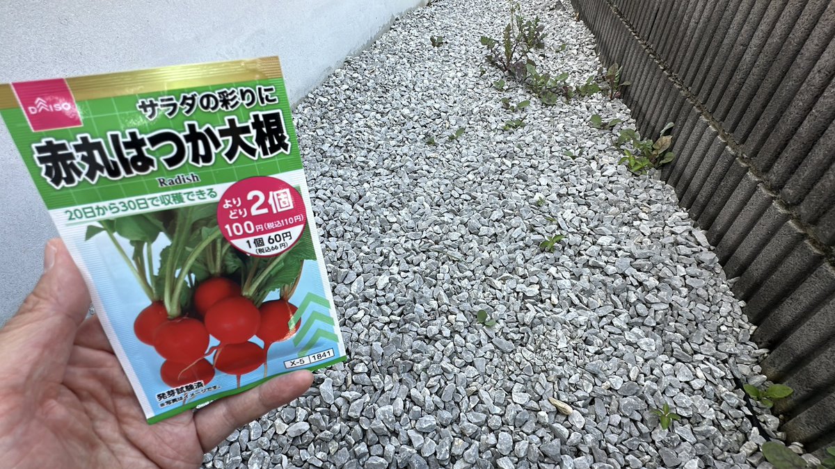 みかんぼーや1987 tweet media