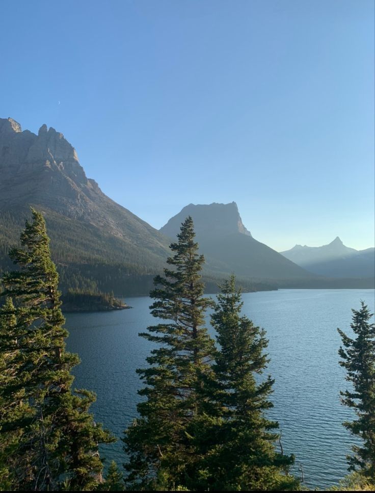Nature On Earth tweet media