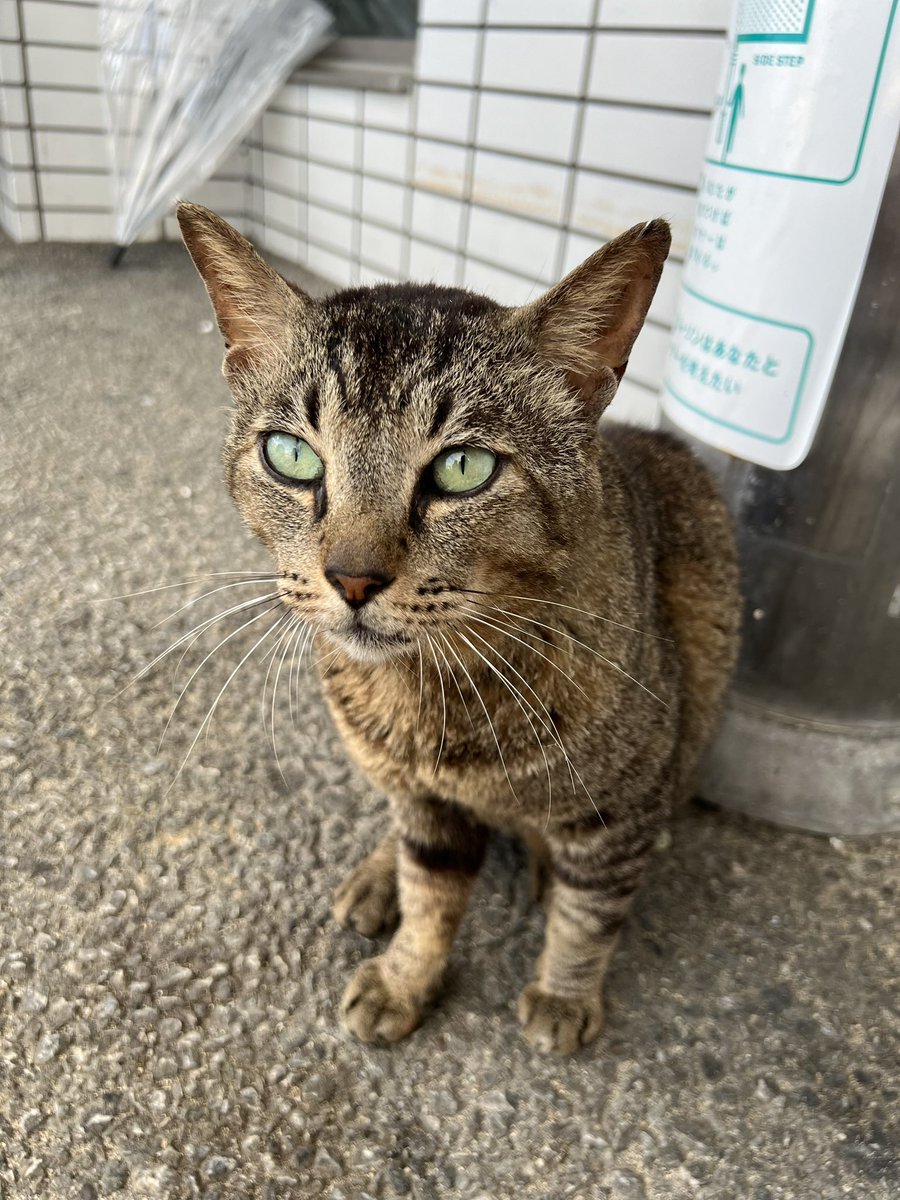 yuchaadayo's tweet photo. 沖縄二日目😻 https://t.co/JpCZvSNrh9