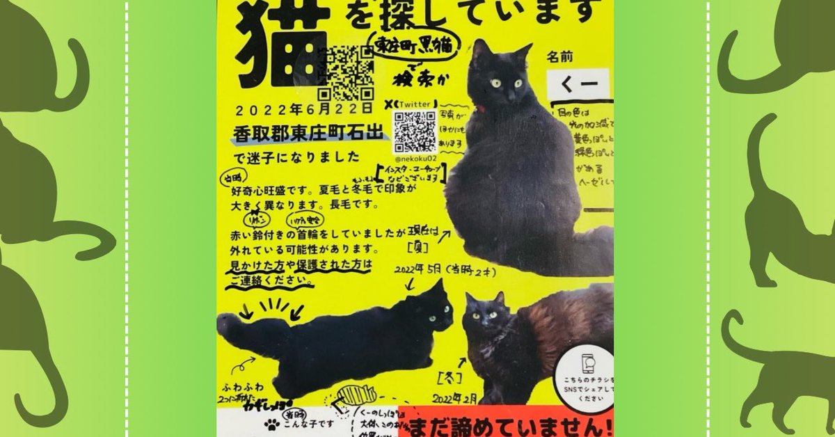 黒猫 ページ‍ 黒猫のくーちゃん探してます🐈‍⬛ 皆様のご協力お願いいたします