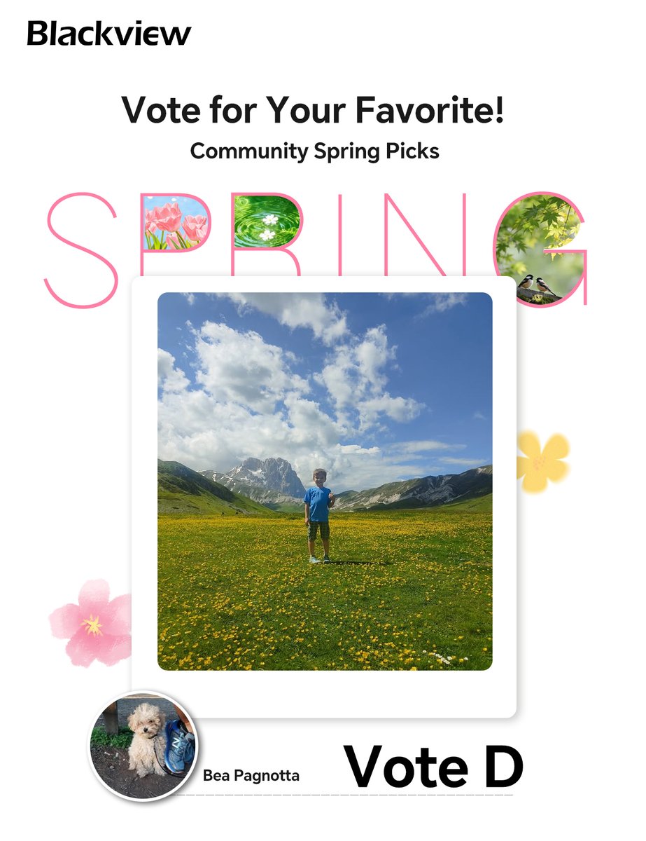 BlackviewPhone's tweet photo. Spring is in full bloom — and our community captured it beautifully. 🌸 Which Spring Moment is your favorite? Drop your vote below 👇
#BlackviewSpringMoments #SpringMomentsEvent #ShareYourSpring #CommunityPicks https://t.co/3MpuPrWL6q