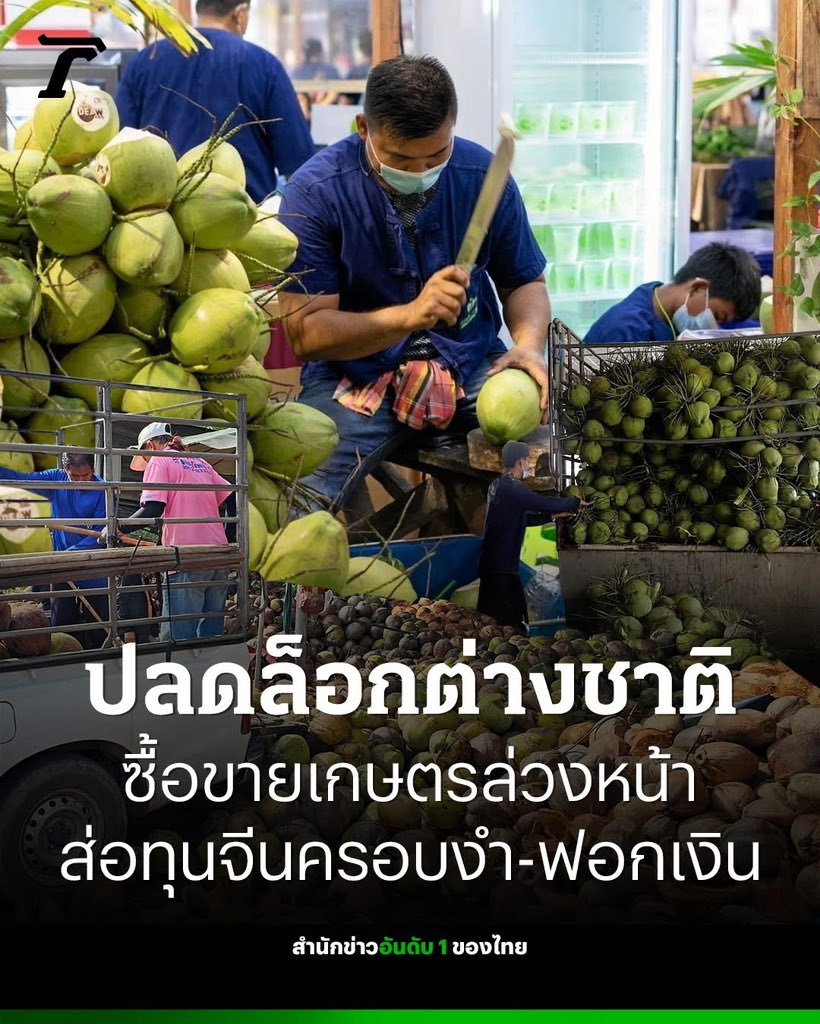 พี่อ้อไม่เป็นมิตรกับติ่ง ปสด tweet media