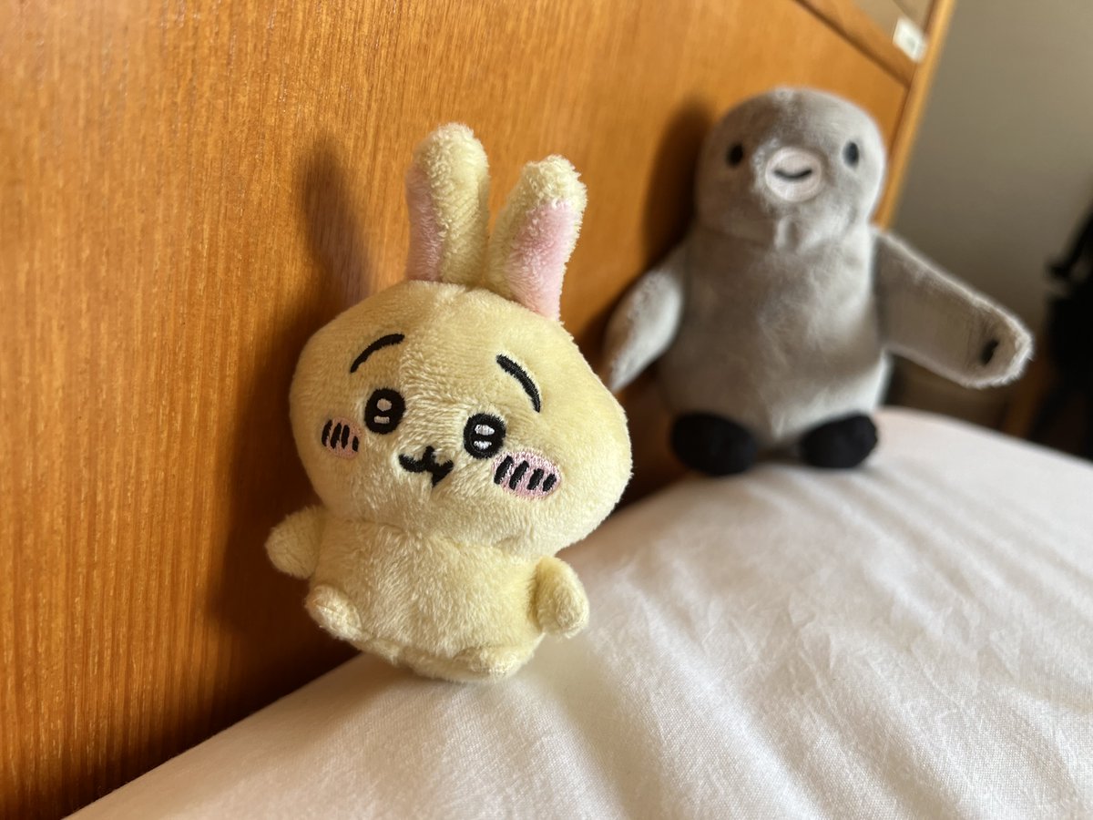 ぺんぎん ☆ペンギン☆ (@penguin00000001) on X
