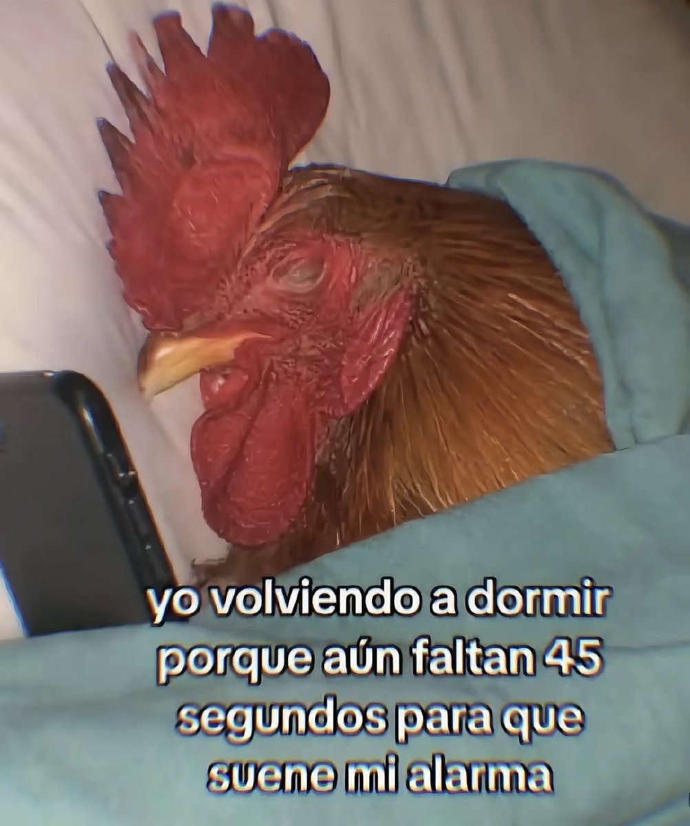 Muñozzz🔥🔥 tweet media