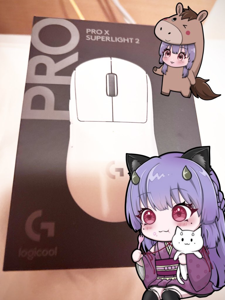 鬼姫にゃんころ🐾(^.ᓀ ·̫ ᓂ.^)ฅ (@KIKI_NYANKORO) / Posts / X
