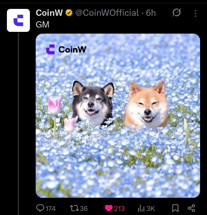 DonT_u_GiveUP's tweet photo. $MANYU is destined for the billions, and new millionaires will be made. The real question is whether you’ll stay long enough to see it. Are you chasing a small 2x flip, or are you holding for the massive 4000x ahead? https://t.co/i5TGYdv4fJ