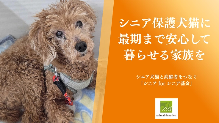 公益社団法人アニマル・ドネーション tweet media