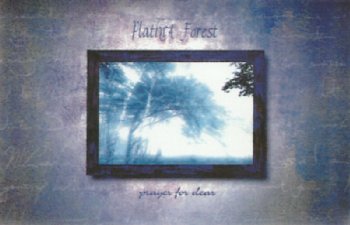 PlatinA Forest「Prayer for dear」 2000年の配布デモテープ。ラクリマ