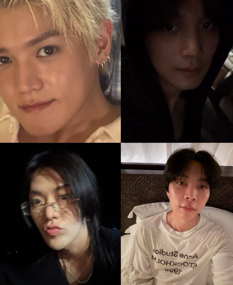 🫧 ⌗ WYLD tweet media