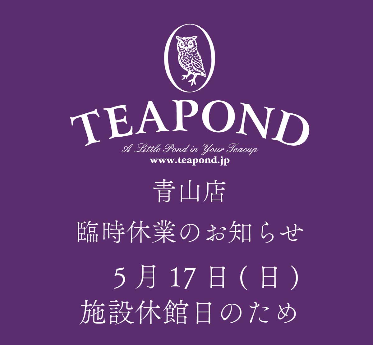 紅茶専門店TEAPOND tweet media