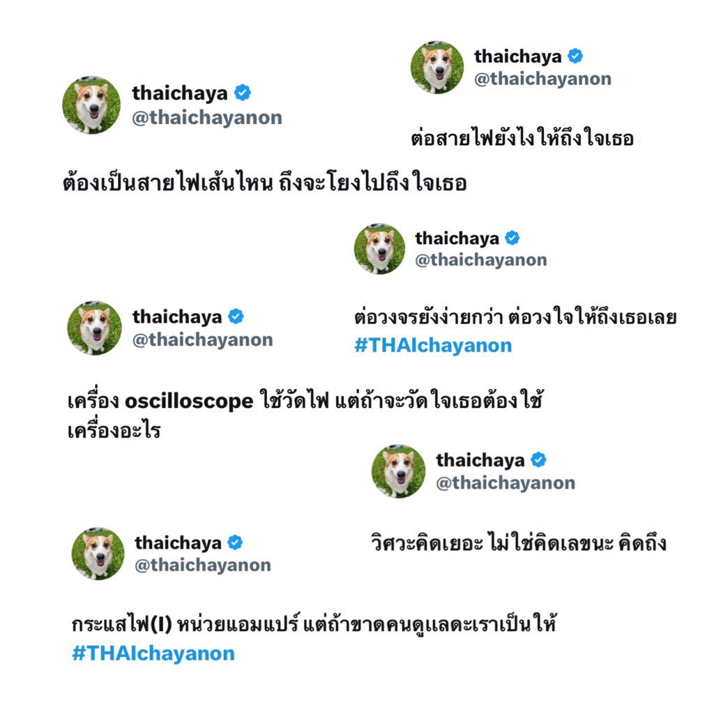 bunie tweet media