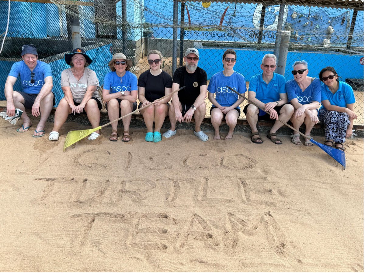 CiscoUKI's tweet photo. Using yearly time available for volunteering causes, these Cisco employees boosted sea turtles hatchling survival rates 10x at a Sri Lanka sanctuary: https://t.co/XCyt8I0ce9 https://t.co/N69QezzFAB