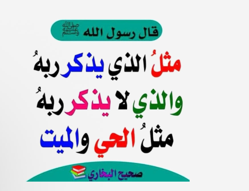 ام محمد tweet media