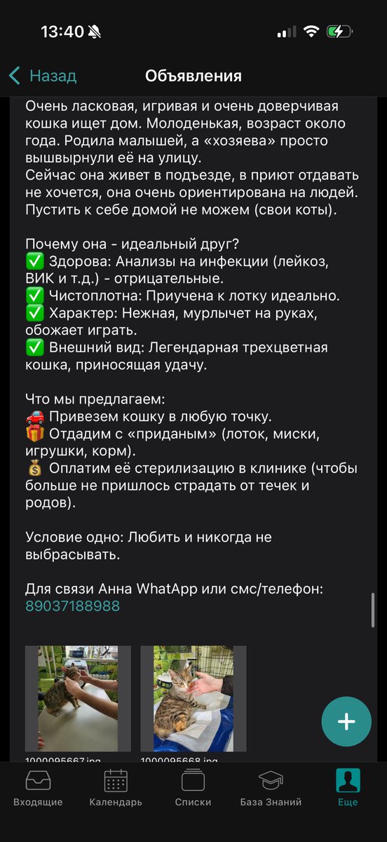 Малахова Кристина tweet media