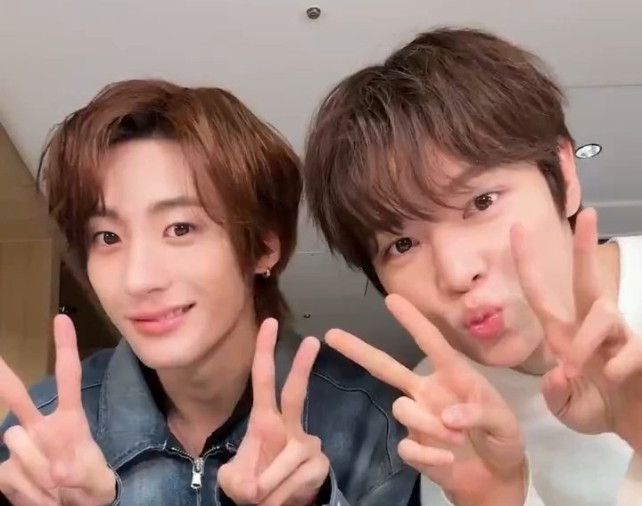 🐽น้องมิกุ ฮะ tweet media