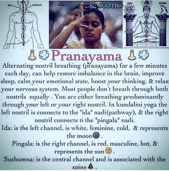 bluetblue05's tweet photo. The body is the instrument of all good deeds. Here is something good to incorporate into daily life practices 🍀
#yoga #pranayama #ida #pingala #chakra #energycentre #alignment #wellbeing 🌹💖🌷☀️🙏✨🦋🌿 https://t.co/aKVOMjwwQQ