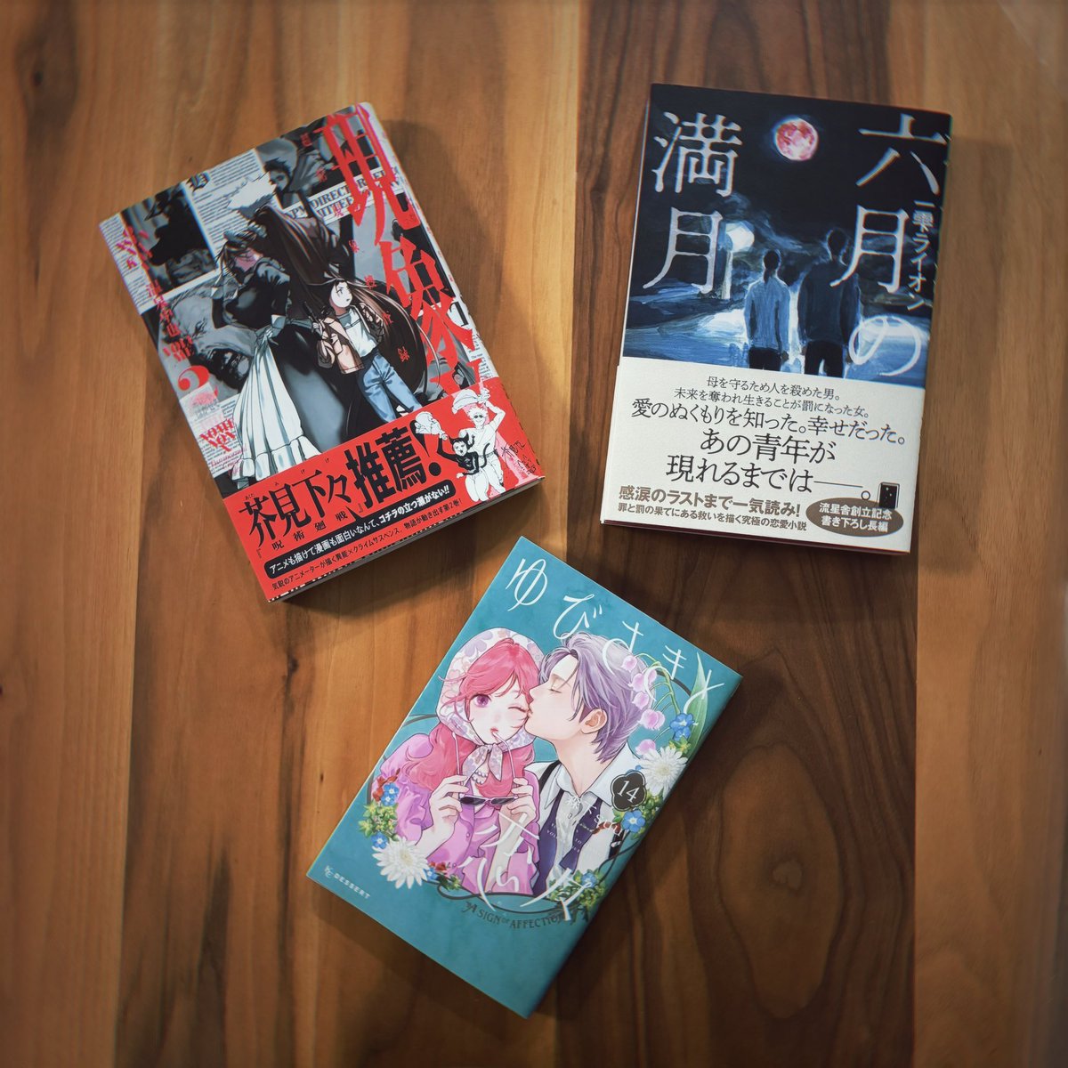 探してた小説とマンガ2冊⊹.˚ #今日買った・届いた本を紹介する