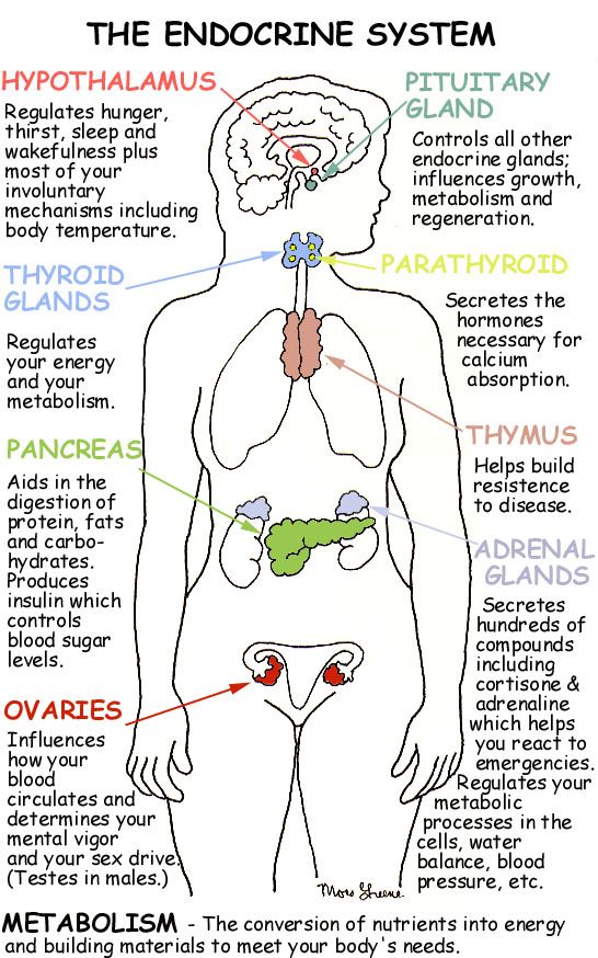 learn something new tweet media
