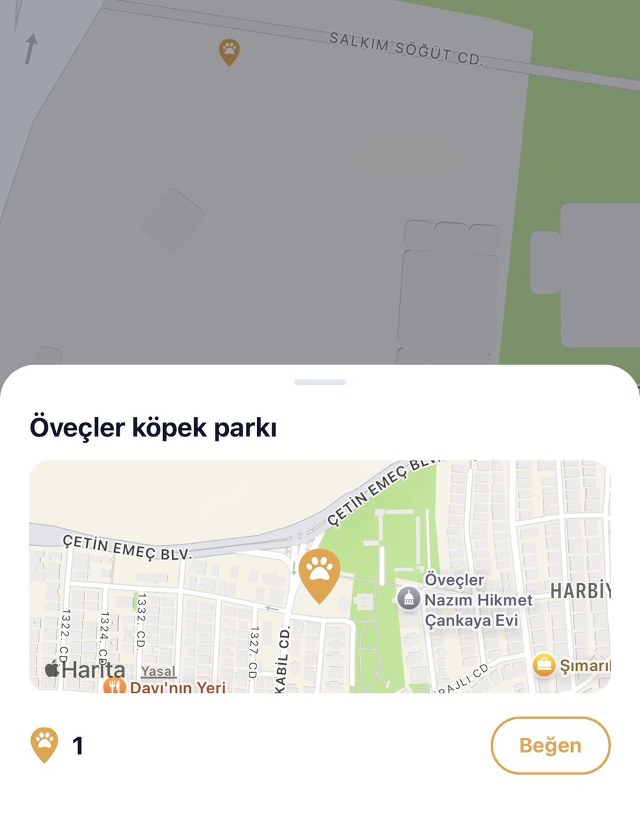 Nur Sultan Şeyhanlıoğlu tweet media