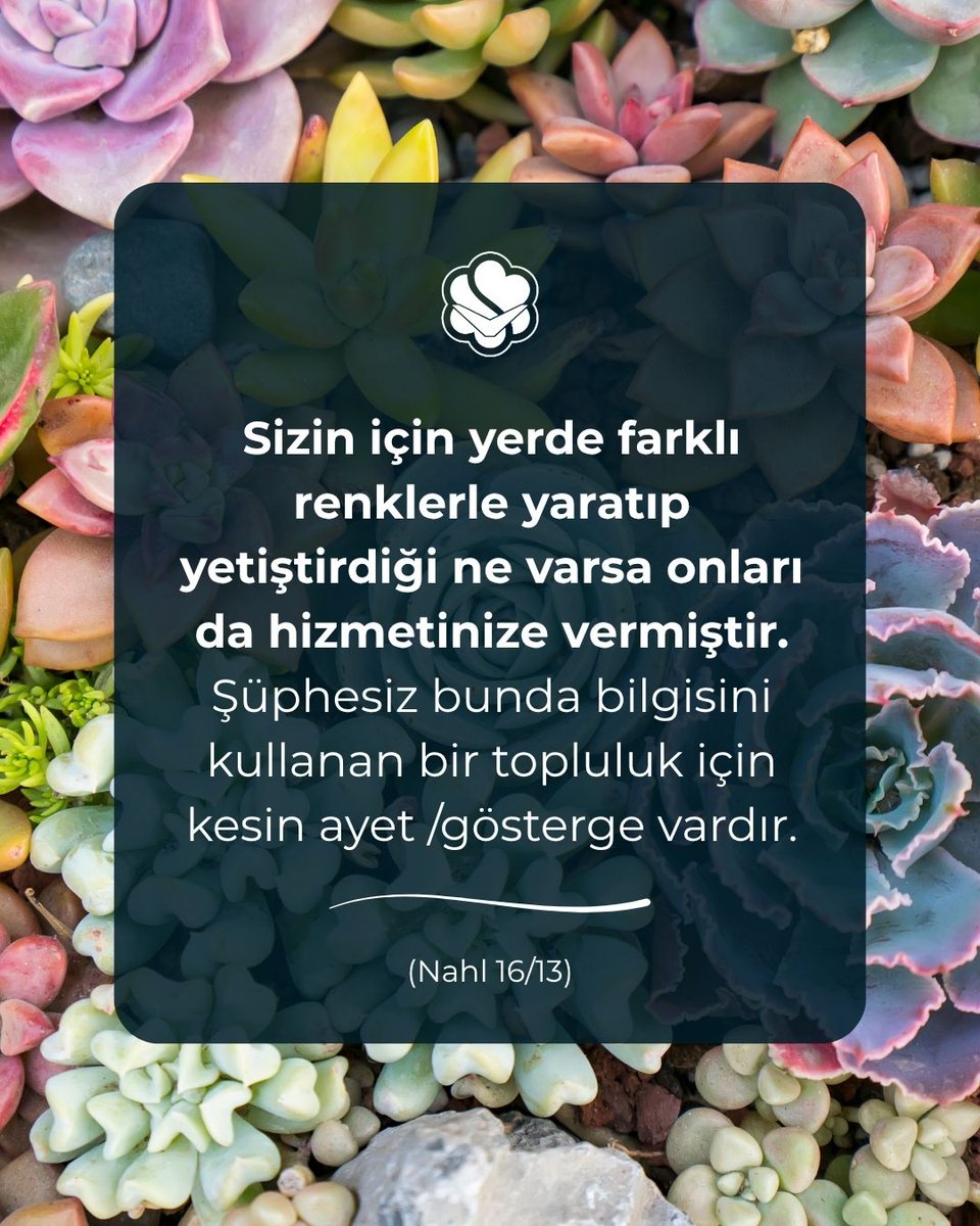 ekokub tweet media