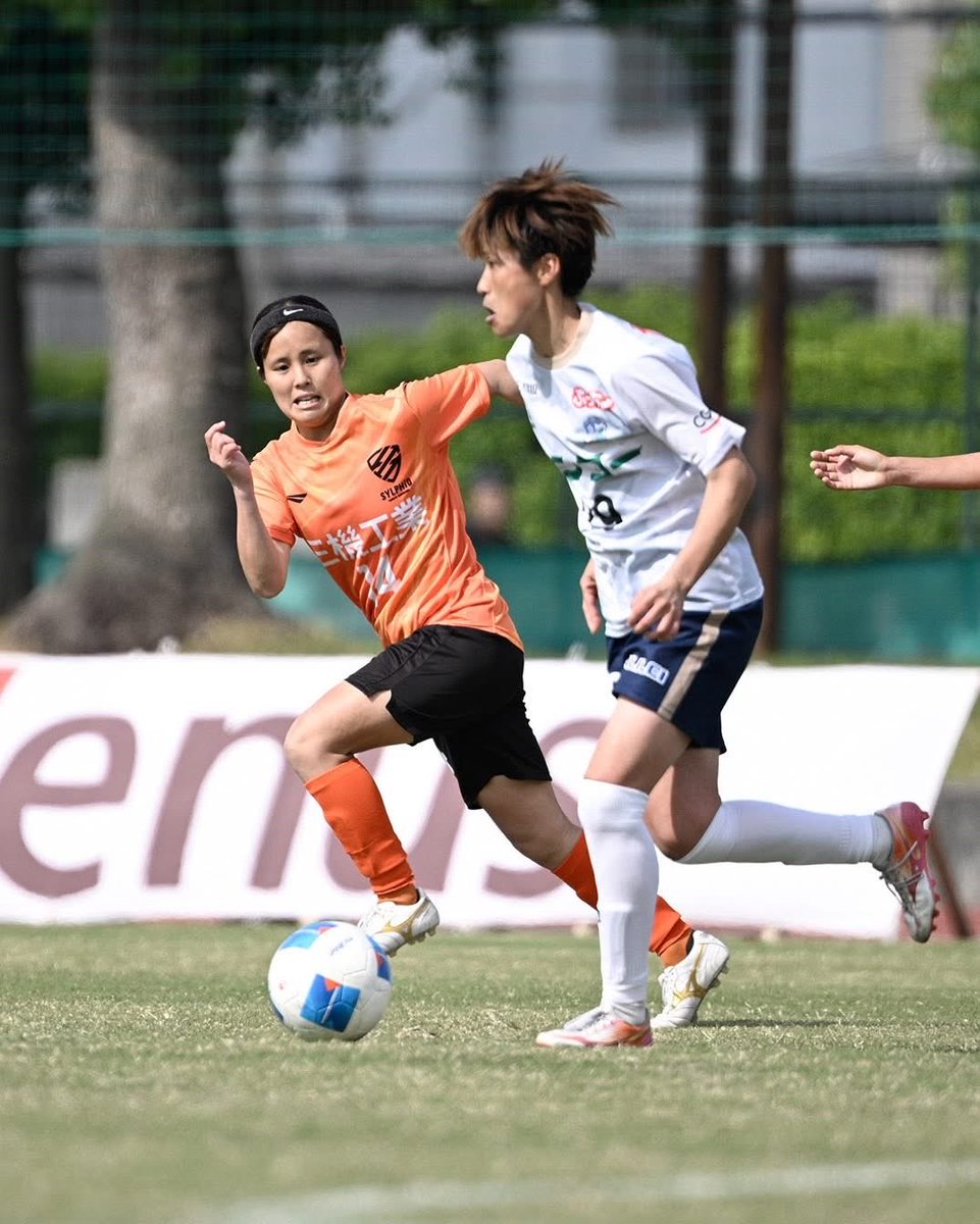 大和シルフィード tweet media