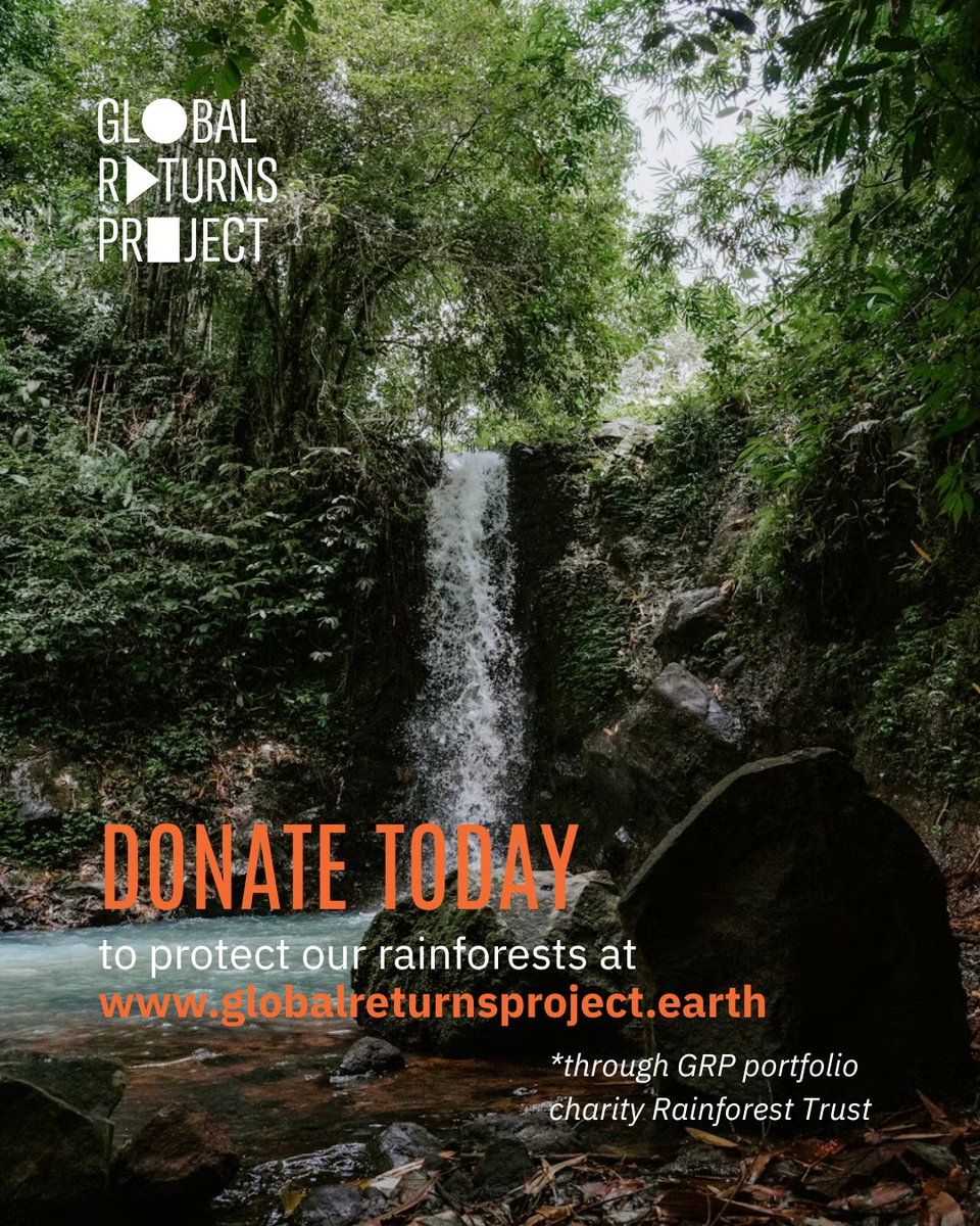 global_returns's tweet photo. pt 2🌳 https://t.co/MWvRFZBUX5