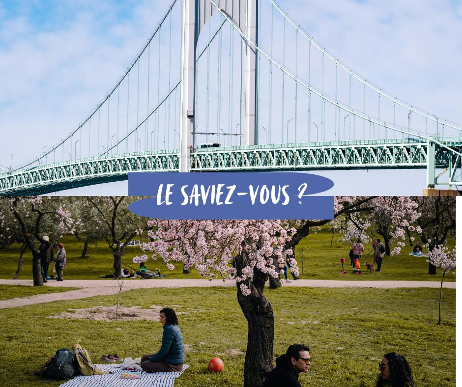 FrenchEdUK's tweet photo. Le Saviez Vous ? 🔎

In 🇫🇷, there’s a fun expression for turning a bank holiday into a longer weekend: “faire le pont”, literally, “to make the bridge.”

It's when a bank holiday is on a Tuesday or Thursday, a clever way to enjoy an extra day for rest or short trips!🏖️ https://t.co/7JNE7F27Eu